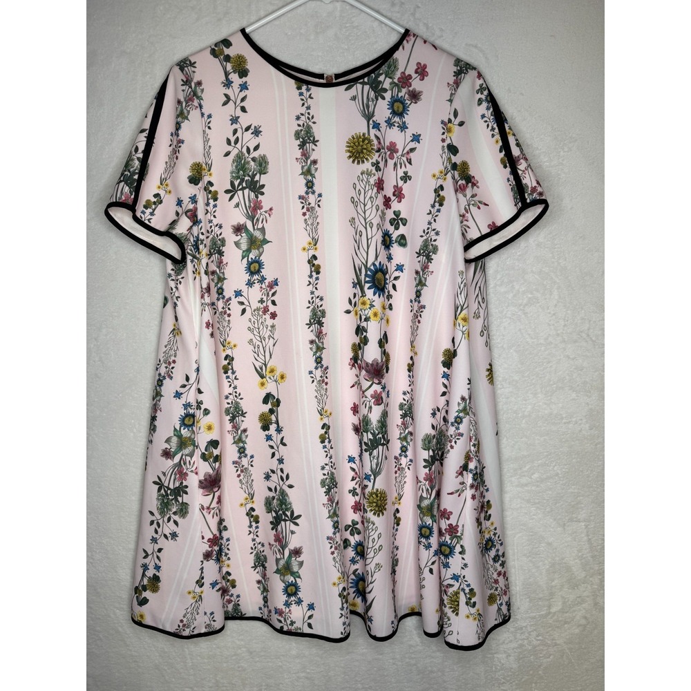 Ted Baker Dress Womens 4 Colorful Soffiah Floral Shift Dress Easter Pink Elegant